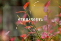 抖音直播人气自助平台