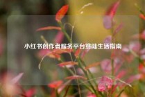 小红书创作者服务平台登陆生活指南