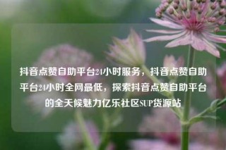 抖音点赞自助平台24小时服务，抖音点赞自助平台24小时全网最低，探索抖音点赞自助平台的全天候魅力亿乐社区SUP货源站