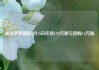 盛龙锦秀国际5月15日斥资1.92万港元回购4.5万股