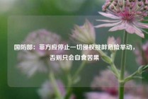 国防部：菲方应停止一切侵权挑衅危险举动，否则只会自食苦果
