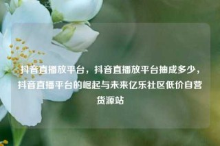 抖音直播放平台，抖音直播放平台抽成多少，抖音直播平台的崛起与未来亿乐社区低价自营货源站