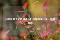 无限流量卡免费申请入口流量卡是不是不能打电话