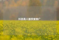 抖音真人播放量推广
