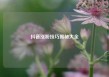 抖音涨粉技巧揭秘大全