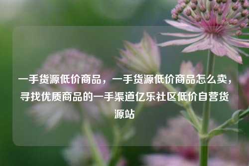 一手货源低价商品	，一手货源低价商品怎么卖，寻找优质商品的一手渠道亿乐社区低价自营货源站  第1张