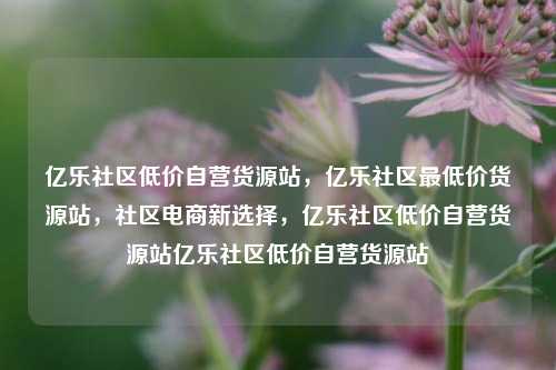 亿乐社区低价自营货源站，亿乐社区最低价货源站，社区电商新选择	，亿乐社区低价自营货源站亿乐社区低价自营货源站  第1张