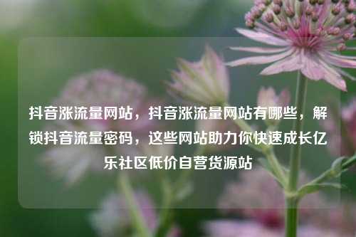 抖音涨流量网站	，抖音涨流量网站有哪些，解锁抖音流量密码，这些网站助力你快速成长亿乐社区低价自营货源站  第1张