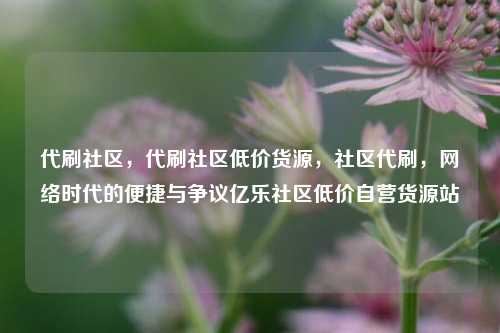 代刷社区	，代刷社区低价货源，社区代刷，网络时代的便捷与争议亿乐社区低价自营货源站  第1张