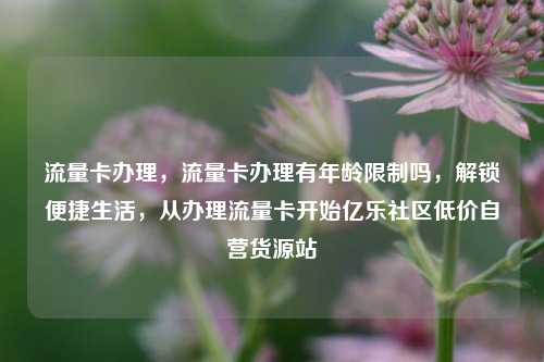 流量卡办理，流量卡办理有年龄限制吗，解锁便捷生活	，从办理流量卡开始亿乐社区低价自营货源站  第1张