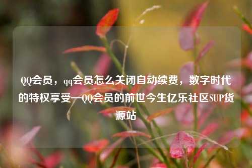 QQ会员，qq会员怎么关闭自动续费，数字时代的特权享受—QQ会员的前世今生亿乐社区SUP货源站  第1张