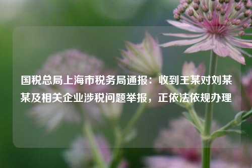 国税总局上海市税务局通报：收到王某对刘某某及相关企业涉税问题举报，正依法依规办理  第1张