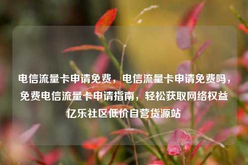 电信流量卡申请免费，电信流量卡申请免费吗	，免费电信流量卡申请指南，轻松获取网络权益亿乐社区低价自营货源站  第1张