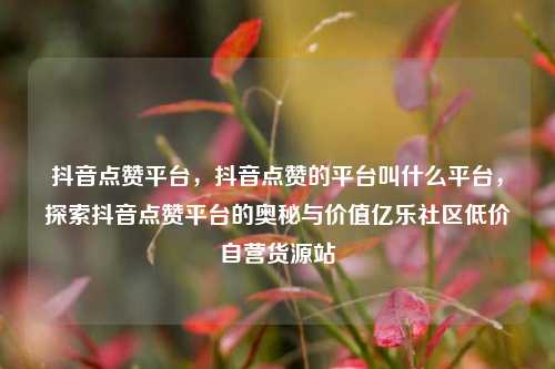 抖音点赞平台，抖音点赞的平台叫什么平台，探索抖音点赞平台的奥秘与价值亿乐社区低价自营货源站  第1张
