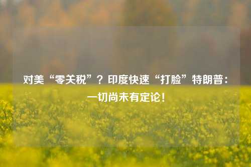对美“零关税”？印度快速“打脸”特朗普：一切尚未有定论！  第1张