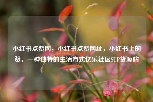 小红书点赞网	，小红书点赞网址，小红书上的赞，一种独特的生活方式亿乐社区SUP货源站  第1张