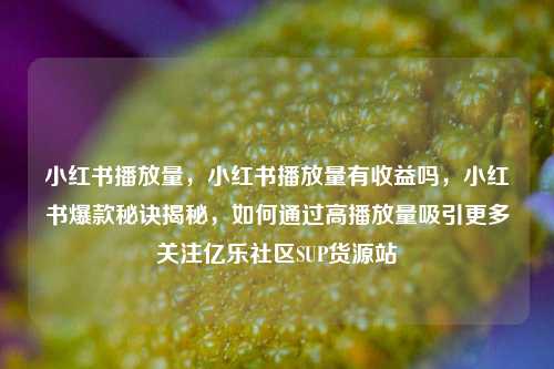 小红书播放量，小红书播放量有收益吗，小红书爆款秘诀揭秘，如何通过高播放量吸引更多关注亿乐社区SUP货源站  第1张