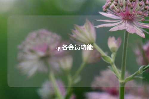 qq各会员功能  第1张