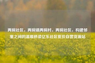 两碗社区，两碗镇两碗村，两碗社区，构建邻里之间的温暖桥梁亿乐社区低价自营货源站