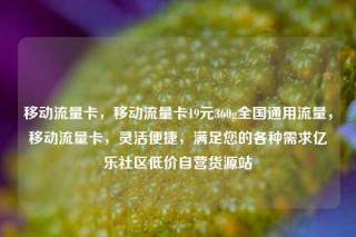 移动流量卡，移动流量卡19元360g全国通用流量，移动流量卡，灵活便捷，满足您的各种需求亿乐社区低价自营货源站