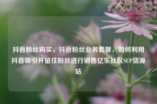 抖音粉丝购买，抖音粉丝业务套餐，如何利用抖音吸引并留住粉丝进行销售亿乐社区SUP货源站