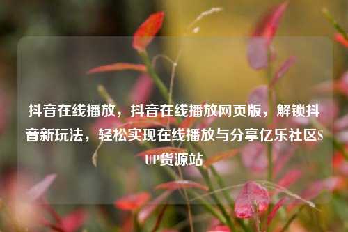 抖音在线播放，抖音在线播放网页版	，解锁抖音新玩法，轻松实现在线播放与分享亿乐社区SUP货源站  第1张