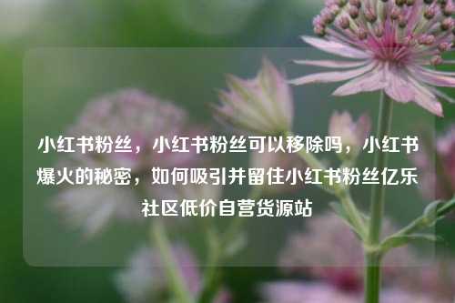 小红书粉丝，小红书粉丝可以移除吗，小红书爆火的秘密	，如何吸引并留住小红书粉丝亿乐社区低价自营货源站  第1张