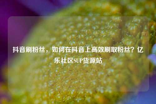 抖音刷粉丝，如何在抖音上高效刷取粉丝？亿乐社区SUP货源站  第1张